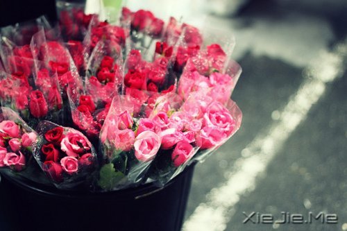 ��Ҫ������ң�ֻ�󰲰����� (2)