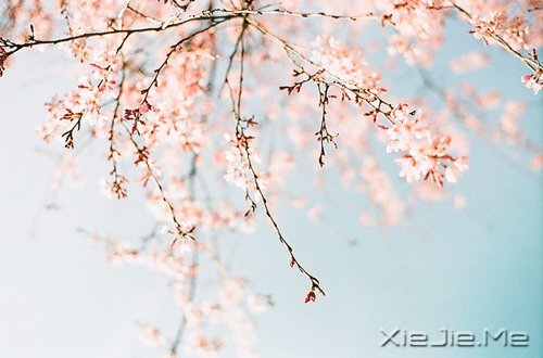 ������Ҳ������������� (6)