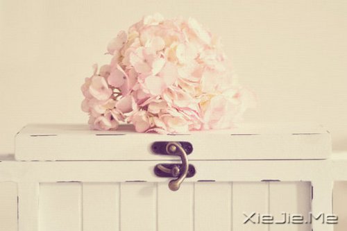 ֻҪ�����ߣ��ܻῴ������ (1)