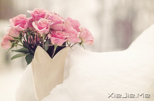 安静下来才能看到真实的自己 (9)