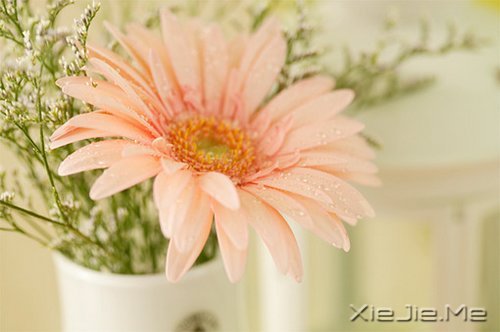 安静下来才能看到真实的自己 (6)