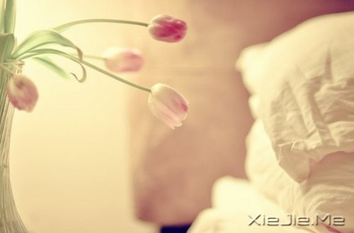 不论这个世界多么糟糕,你自己的世界一定要精彩 (6)