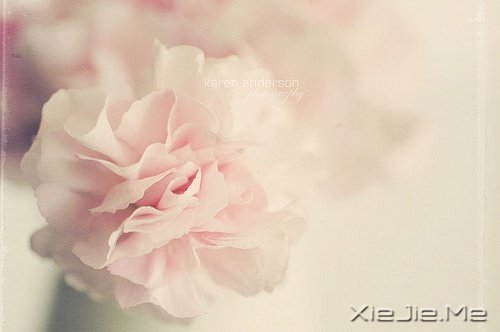 不论这个世界多么糟糕,你自己的世界一定要精彩 (7)