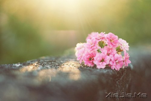 �����ж�пᣬ��͸��ж��ǿ (1)