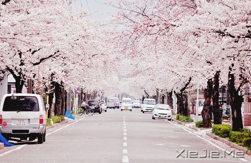 ���ܳɹ���������������� (1)