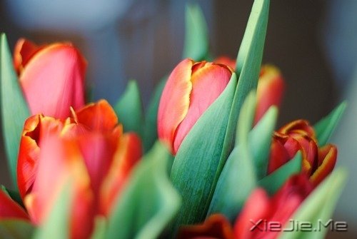 不要踩着别人的脚印,找自己的路 (3)