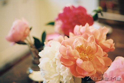 早安心语:浅浅遇,淡淡忘 (8)