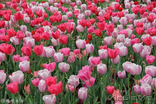 �ˣ�����Ҫ�����ģ���ĳ��ʱ�� (9)