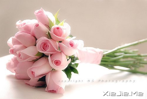 幸福,就是春夏秋冬,悠然自在 (4)