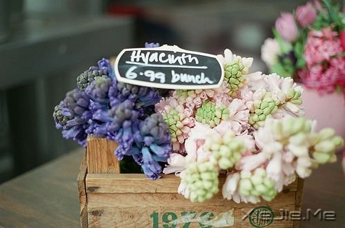 一路感恩,且行且珍惜 (9)