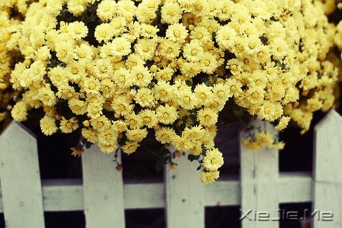 ���������;�У������Լ� (3)