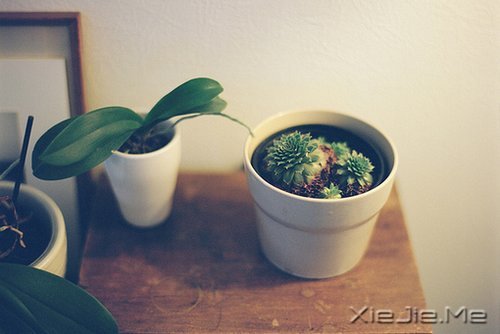 晚安心语:生活得更好,是为了自己 (12)