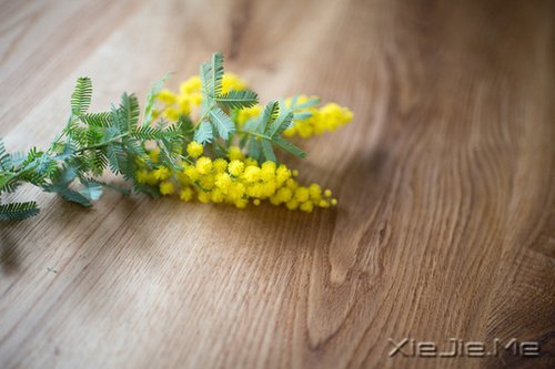 晚安心语:你看到什么样的世界,你就拥有什么样的内心 (1)