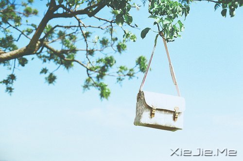 �������ѧ��õı��ˣ�����õ��Լ� (1)