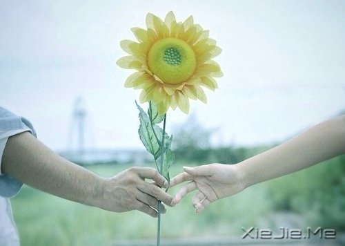 在时间的渡口,我们皆是过客 (2)