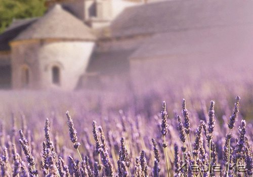 �����������Ҫ�ģ�һֱ�ܼ� (6)