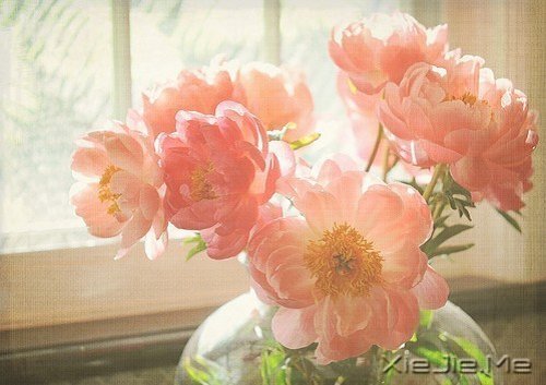 ��������������ˣ��������� (2)