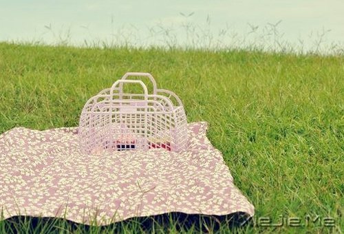 过自己喜欢的生活,喜欢自己过的生活 (5)