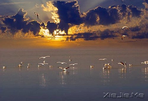 过自己喜欢的生活,喜欢自己过的生活 (9)