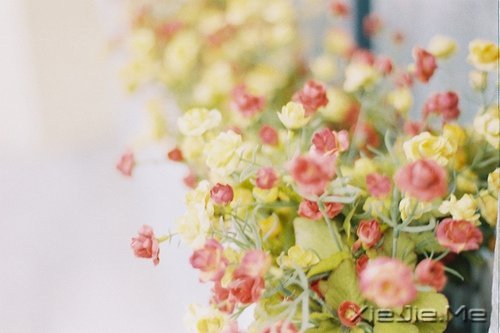 晚安心语:微笑着去等待,做最好的自己 (3)