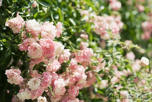 对未来的真正慷慨,是把一切献给现在 (8)