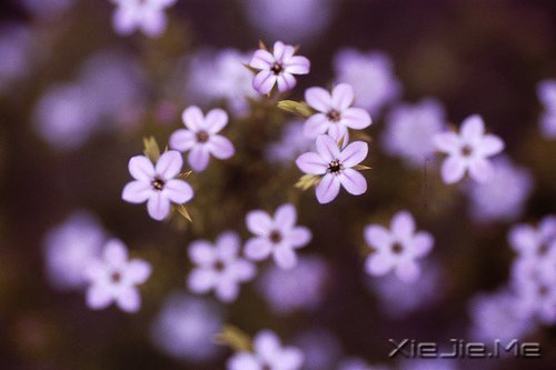 对未来的真正慷慨,是把一切献给现在 (6)
