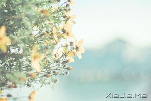 �������ͣ�ڷ羰�Ϊ�Լ����׸� (1)