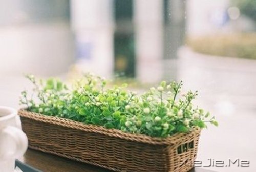 晚安心语:你没那么多观众,别那么累 (7)