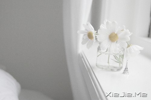 �簲�����δ���������������ǰ�һ���׸����� (8)