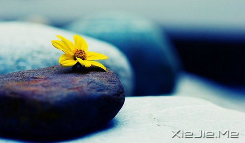 早安心语:就算世界荒芜,也总有一个人是你的信徒 (6)