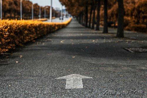 �簲����Ҹ���һ���ọ́�������һ���յ� (8)