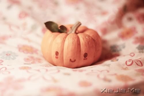 ����������������ĵط������᲻�� (10)