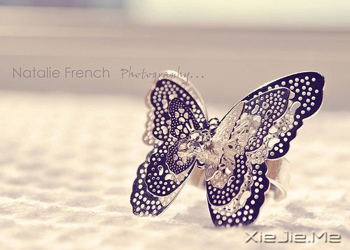 �簲�����Ҫ�������˶�������Ĵ��� (1)