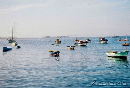 ���������ʲôҲ������������ (6)