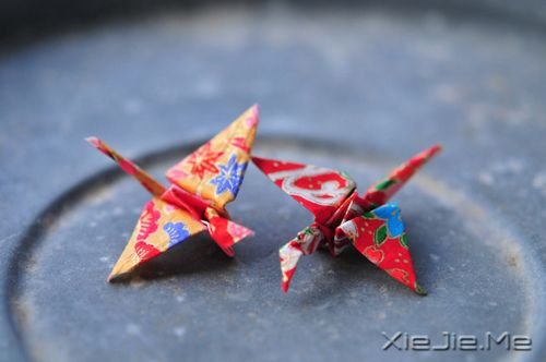 晚安心语:生活或许总有遗憾,但未来依旧美好 (1)