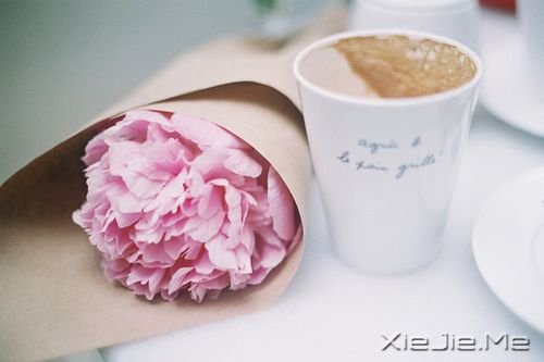 �������û�в��ᵭ�Ị̇�û�в���õ��� (3)