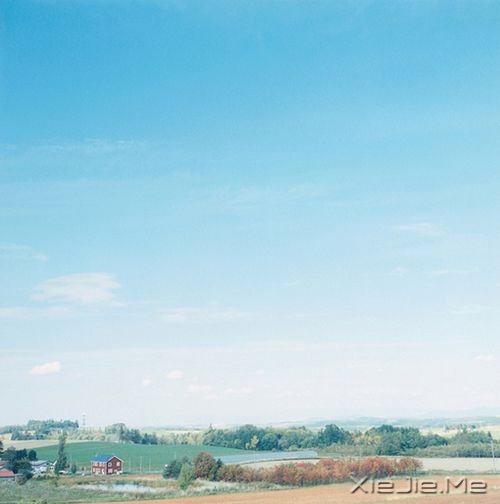 晚安心语:逝去的东西,最好不见,最好不念 (4)