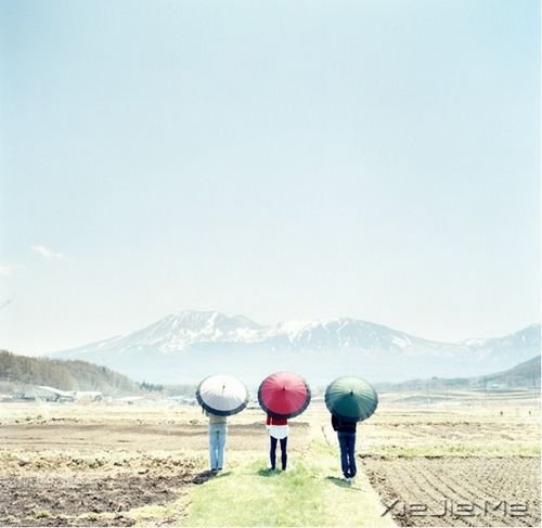 晚安心语:逝去的东西,最好不见,最好不念 (6)