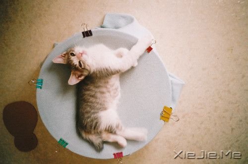 晚安心语:有些话,适合烂在心里 (10)