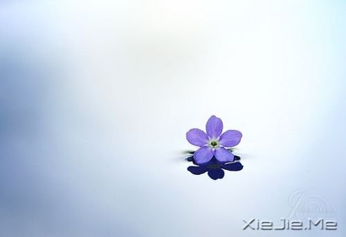 �簲���ѡһ����̬�����Լ�����޿���� (6)