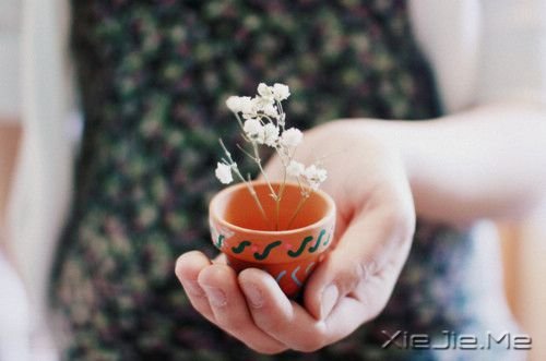 晚安心语:坚持住,扛过去 (8)