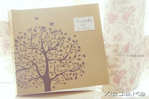 早安心语:活着就要快乐,因为我们会死很久 (9)