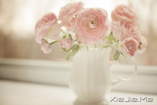 如果我不这么在乎,生活会简单得多 (6)