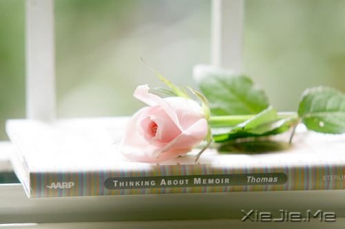 ��������Ҹ��������Ķ����Ҹ� (3)