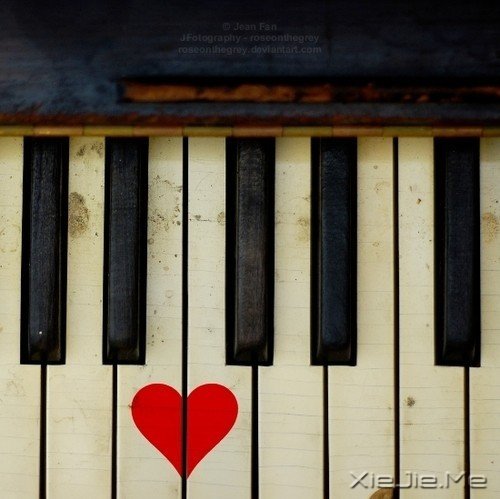 黑白琴键上的爱情