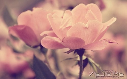 �������ˣ���������ҲҪ������