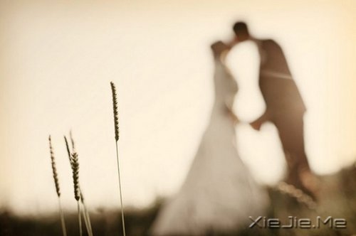 适合婚礼用的十大英文歌曲 (3)