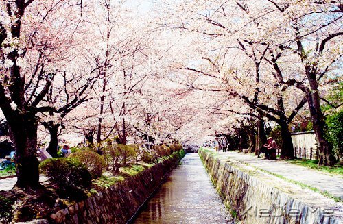 2014,用12个月来改变自己 (3)