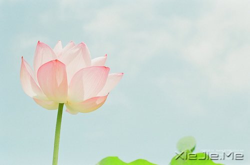 50条经典人生格言