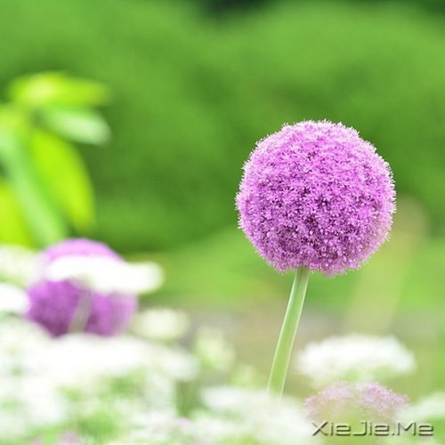 生活的九大智慧 (1)